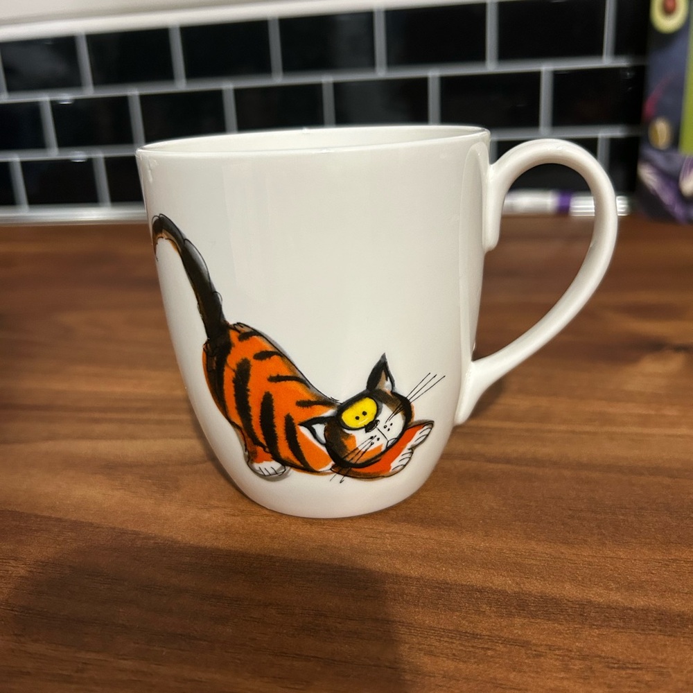 Rose of England Fine Bone China Charming Cat Mug in Orange and Black